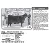 Image 1 : Lot - 21 - JPF LADY BLACKBIRD 1927