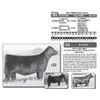 Image 1 : Lot - 22 - JLF PRINCESS 9212