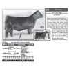 Image 1 : Lot - 23 - JLF QUEEN LEXUS 9202