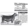 Image 1 : Lot - 24 - JLF VIXON 9152