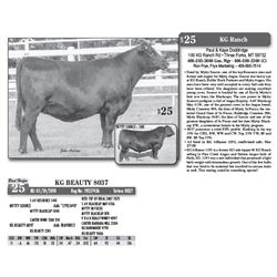 Lot - 25 - KG BEAUTY 8037