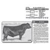 Image 1 : Lot - 26 - KG BLACKBIRD 8119