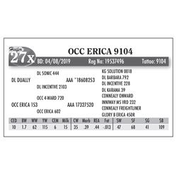 Lot - 27X - OCC ERICA 9104