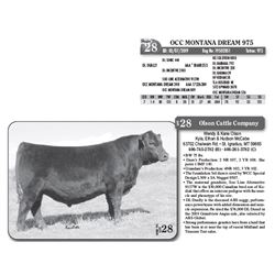 Lot - 28 - OCC MONTANA DREAM 975