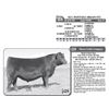 Image 1 : Lot - 28 - OCC MONTANA DREAM 975