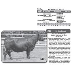 Lot - 30 - OX BOW LUCY 9225