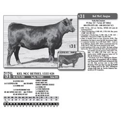 Lot - 31 - KEL MCC BETHEL 1335 828
