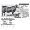 Image 1 : Lot - 31 - KEL MCC BETHEL 1335 828