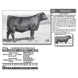 Lot - 33 - T/J HENRIETTA PRIDE 9G01