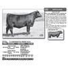 Image 1 : Lot - 33 - T/J HENRIETTA PRIDE 9G01