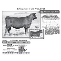 Lot - 35 - STEVENSON PRIDE 9004