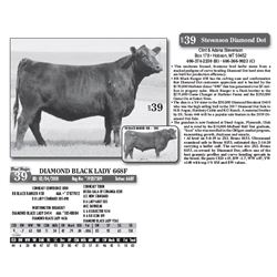 Lot - 39 - DIAMOND BLACK LADY 668F