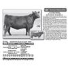 Image 1 : Lot - 39 - DIAMOND BLACK LADY 668F