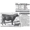 Image 1 : Lot - 40 - DIAMOND RUBY 702G