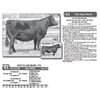 Image 1 : Lot - 41 - SITZ ELSIEMERE 378