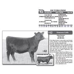 Lot - 42 - WW TURBO PRIDE