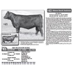 Lot - 43 - SRS BLOSSOM 9236G