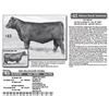 Image 1 : Lot - 43 - SRS BLOSSOM 9236G