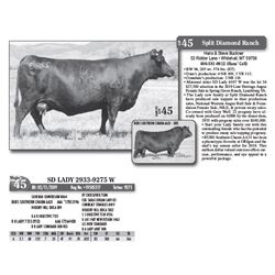 Lot - 45 - SD LADY 2933-9275 W