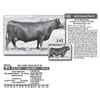 Image 1 : Lot - 45 - SD LADY 2933-9275 W