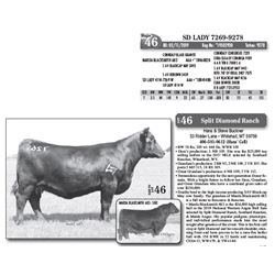 Lot - 46 - SD LADY 7269-9278