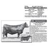 Image 1 : Lot - 46 - SD LADY 7269-9278
