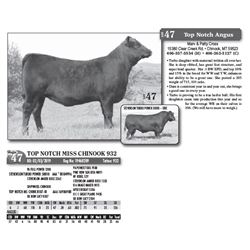 Lot - 47 - TOP NOTCH MISS CHINOOK 932