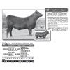 Image 1 : Lot - 47 - TOP NOTCH MISS CHINOOK 932