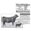 Image 1 : Lot - 48 - TOP NOTCH LADY 914