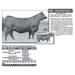 Lot - 49 - TOP NOTCH BARBARAMERE 810