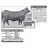 Image 1 : Lot - 49 - TOP NOTCH BARBARAMERE 810