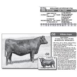 Lot - 50 - WILLEKES ENTENSE F36