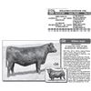 Image 1 : Lot - 50 - WILLEKES ENTENSE F36