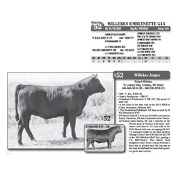 Lot - 52 - WILLEKES EMBLYNETTE G14