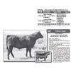Image 1 : Lot - 52 - WILLEKES EMBLYNETTE G14
