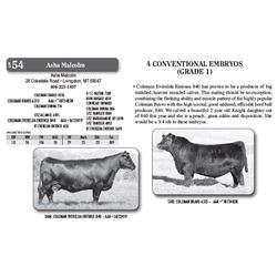 Lot - 54 - 4 CONVENTIONAL EMBRYOS (GRADE 1)