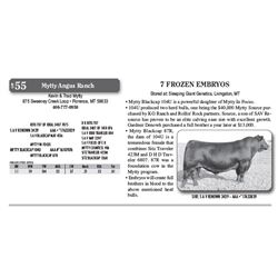 Lot - 55 - 7 FROZEN EMBRYOS