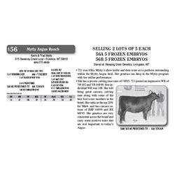 Lot - 56a - 56A 5 FROZEN EMBRYOS