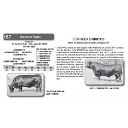 Lot - 57 - 5 FROZEN EMBRYOS
