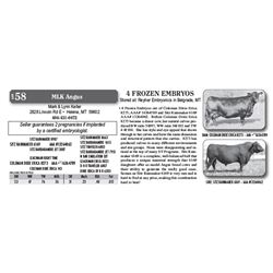Lot - 58 - 4 FROZEN EMBRYOS