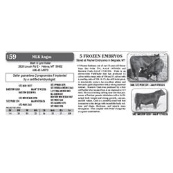 Lot - 59 - 5 FROZEN EMBRYOS