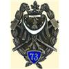 Image 1 : POLAND, MEDAL, 73RD INFANTRY REGIMENT