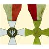 Image 1 : POLAND, MEDAL, 206TH VOLUNTEER ARMY INFANTRY REGIMENT (DEFENSE OF PLOCK)