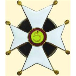 POLAND, MEDAL, 5TH MOUNTED RIFLE REGIMENT