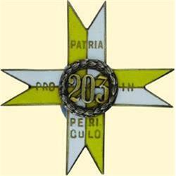 POLAND, MEDAL, 203RD VOLUNTEER LANCER REGIMENT - I.TYPE