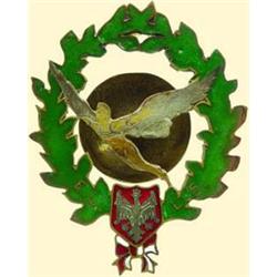 POLAND, MEDAL, AIR FORCE INSIGNIA (8TH RECONNAISSANCE SQUADRON ?)