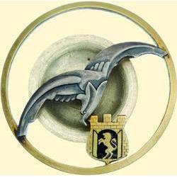 POLAND, MEDAL, 6TH AIR FORCE REGIMENT
