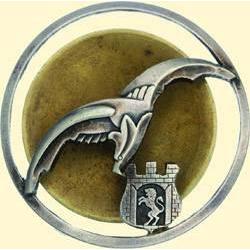 POLAND, MEDAL, 6TH AIR FORCE REGIMENT