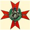 POLAND, MEDAL, 2ND ARMORED REGIMENT