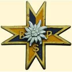 POLAND, MEDAL, PODHOLANIAN RIFLE BATTALION - 1946